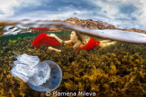See in the Black sea by Plamena Mileva 